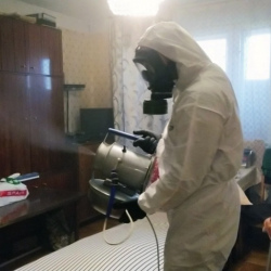 Дезинфекция от клопов в Зверево