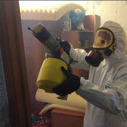 Уничтожение клопов в квартире. Зверево